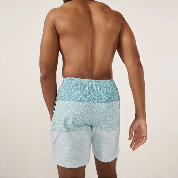 Chubbies The Whale Sharks Classic Lined Swim Trunks Size L - Picture 3 of 12